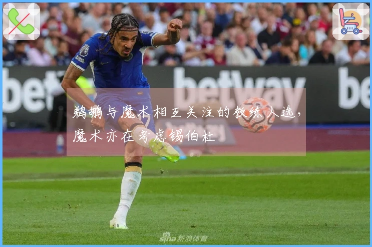 鹈鹕与魔术相互关注的教练人选，魔术亦在考虑锡伯杜