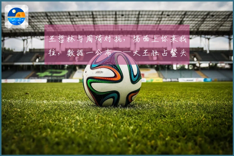 王哲林与周琦对抗，场面上你来我往，数据一公布——大王独占鳌头！