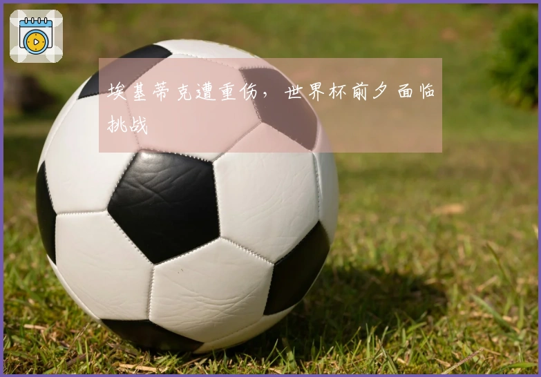 埃基蒂克遭重伤，世界杯前夕面临挑战