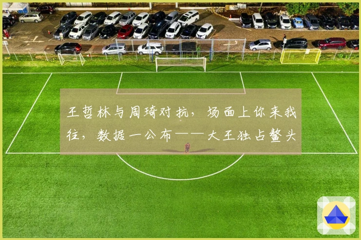 王哲林与周琦对抗，场面上你来我往，数据一公布——大王独占鳌头！