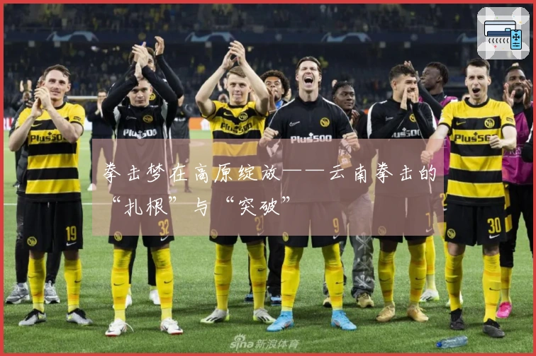 拳击梦在高原绽放——云南拳击的“扎根”与“突破”