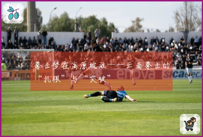 拳击梦在高原绽放——云南拳击的“扎根”与“突破”
